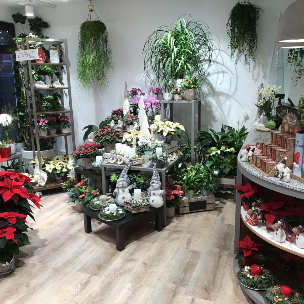 Der Blumenladen von innen