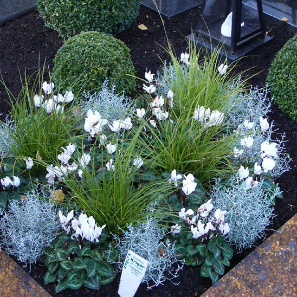 Grab mit vielen Blumen